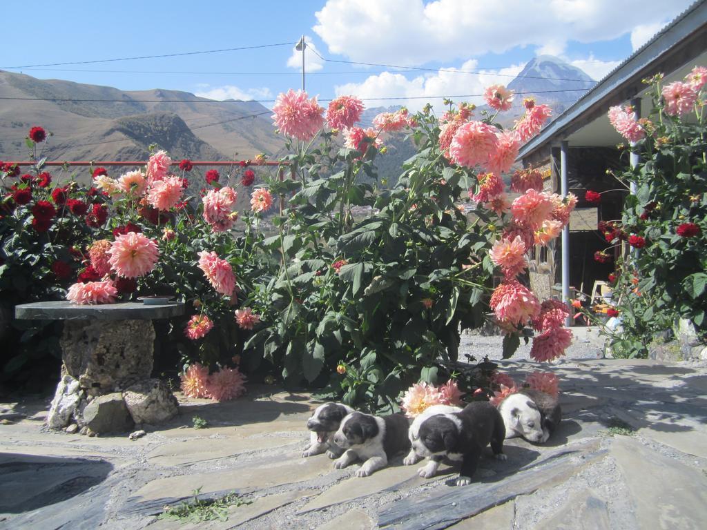 Qusha Guesthouse Meeting In The Mountains And Views Kazbegi Cameră foto